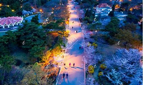 青岛中山公园停车场_青岛中山公园停车场在哪里