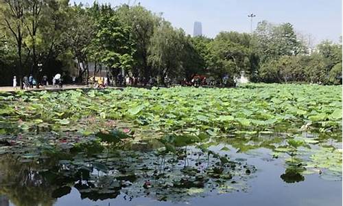 深圳洪湖公园风景区_深圳洪湖公园风景区介绍