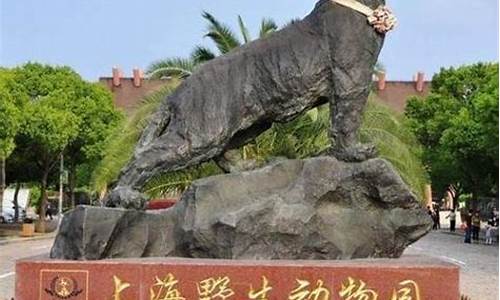 嘉兴到上海野生动物园路线_嘉兴到上海野生动物园路线攻略